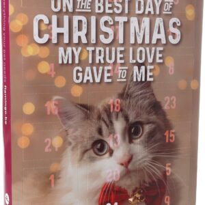 Flamingo Adventní kalendář s pamlsky pro kočky 295g