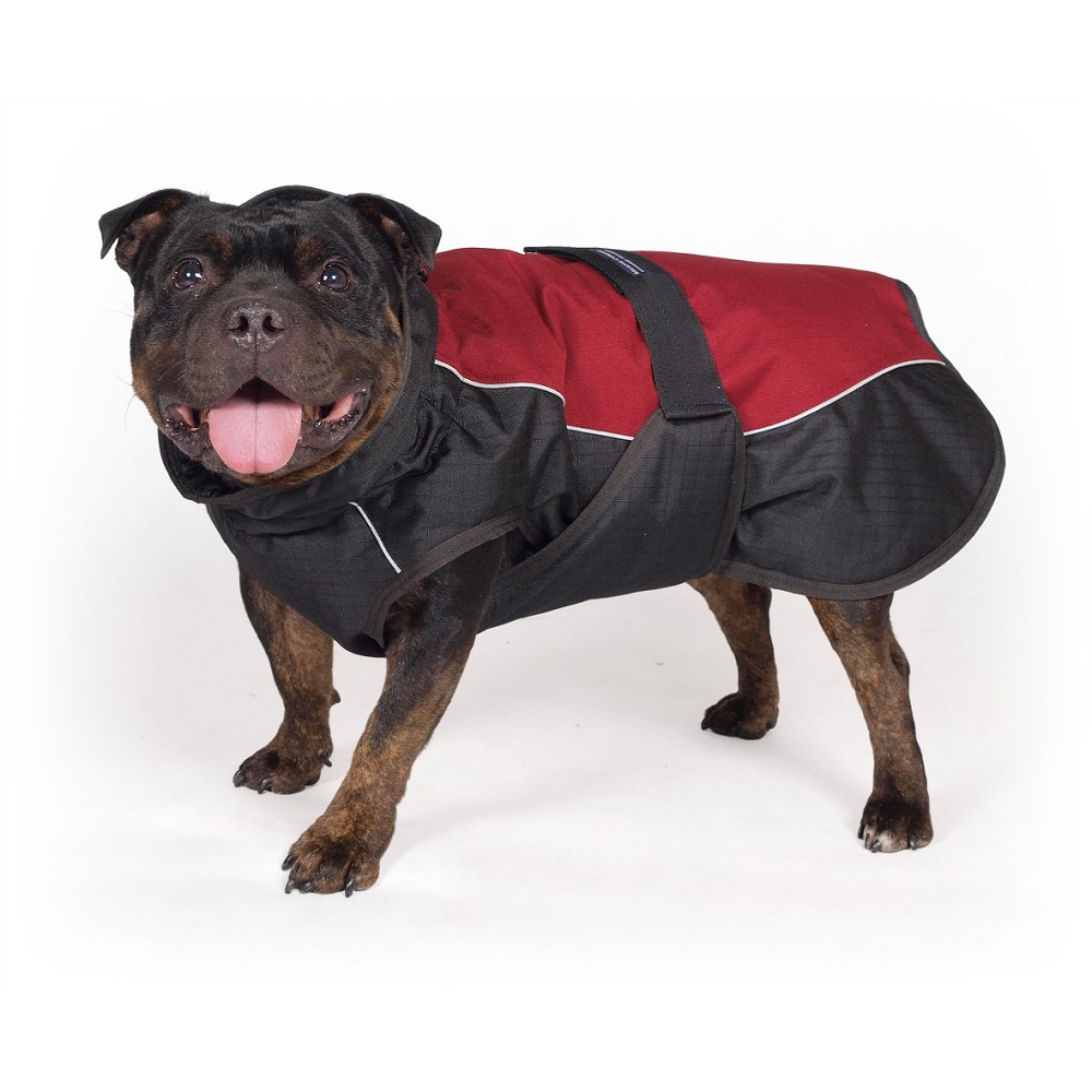 Blok lojový s hmyzem pro ptáky 250g Zolux Blok lojový s hmyzem pro ptáky 250g Zolux