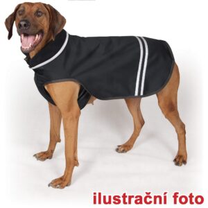 Hračka pes OCTOPUS & STARFISH plyš,TPR růžov.27cm Kiwi