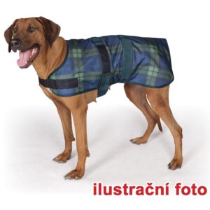 DINGO suchary speciál 250g