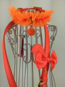 Luxusní set obojek +vodítko wooflink -