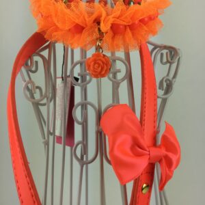 Luxusní set obojek +vodítko wooflink –