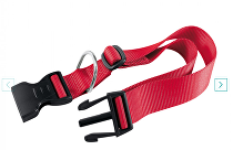 Obojek nylon CLUB C 56cmx20mm červený FP 1ks