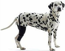 Bandáž na koleno pro psa KRUUSE Rehab XL Levá