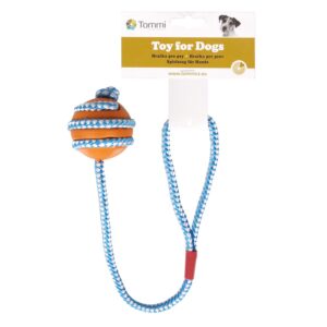 Hračka pro psy - přetahovadlo a aport v jednom míček na šňůře