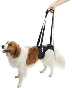 Postroj zvedací Rehab na zadní nohy XL KRUUSE