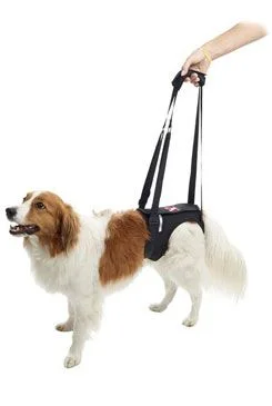 Postroj zvedací Rehab na zadní nohy XL KRUUSE Postroj zvedací Rehab na zadní nohy XL KRUUSE