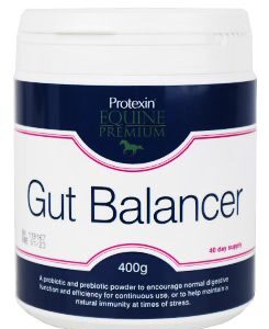 Protexin Gut Balancer pro koně 400g