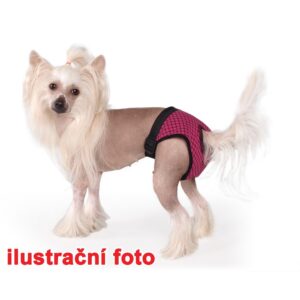 01295 Hárací kalhotky Fun Colours S