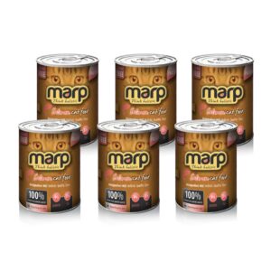 Marp Holistic Marp Salmon konzerva pro kočky s lososem 6x370g