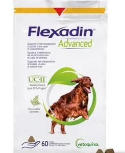 Flexadin Advanced New 60tbl