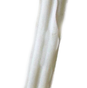 Tenesco Kost bůvolí BÍLÁ 8cm 1ks