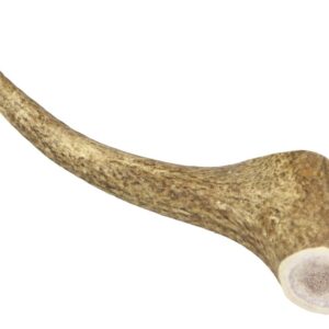 Marp Holistic – Jelení paroh, velikost XL (160 – 200g)