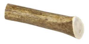 Marp Holistic - Jelení paroh,velikost S (50 - 80g)