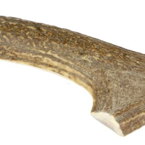 Marp Holistic – Jelení paroh polovina XL (110 – 140g)