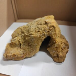 Skalka pískovcová A14