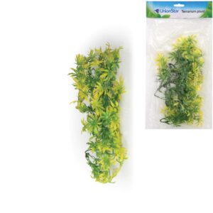 UnionStar Terarijní rostlina UH, vel. M