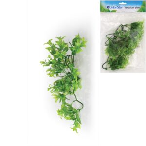 UnionStar Terarijní rostlina UH, vel. M