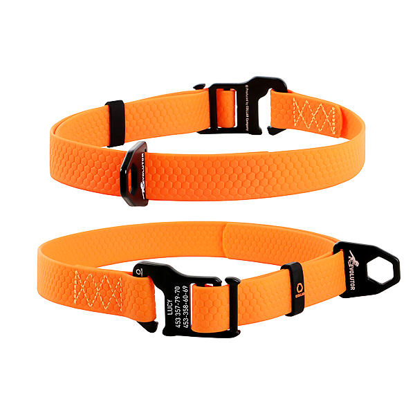 Evolutor obojek pro extrémní zátěž - oranžový (25-70cm/2,5cm) Evolutor obojek pro extrémní zátěž - oranžový (25-70cm/2,5cm)