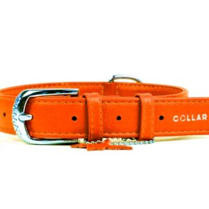 Obojek kožený Glamour Classic – oranžový (46-60cm/35mm)