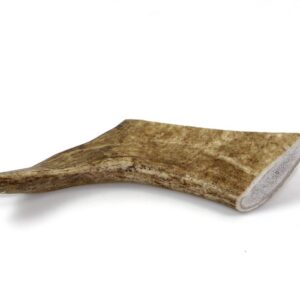 Marp Holistic – Dančí paroh, velikost L (111 – 140g)