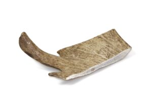 Marp Holistic - Dančí paroh, velikost XL (141 - 180g)