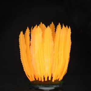 Aqua LUMO - Mořská chaluha