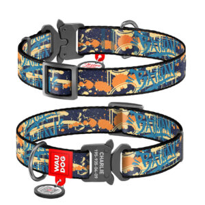 WAUDOG obojek nylonový DC Batman jeans Fastex QR (25-35cm/1,5cm)