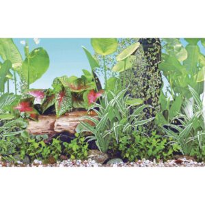 Akvaristika - pozadí do akvária GRASSY, vel. XL