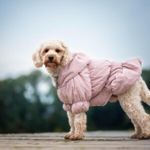 Vsepropejska Aida zimní bunda pro psa Barva: Růžová, Délka zad (cm): 19, Obvod hrudníku: 28 – 39 cm