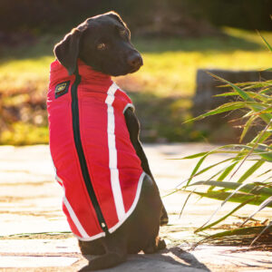 Vsepropejska Faraon bunda pro psa na ZIP Barva: Červená, Délka zad (cm): 55, Obvod hrudníku: 68 – 72 cm