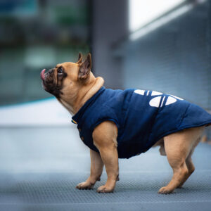 Vsepropejska Judo oboustranná bunda pro psa Barva: Modrá, Délka zad (cm): 21, Obvod hrudníku: 29 – 32 cm