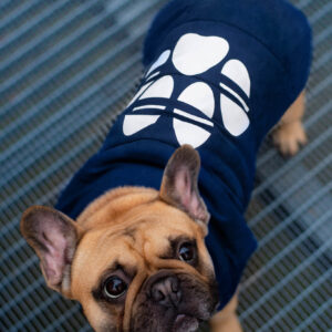 Vsepropejska Judo oboustranná bunda pro psa Barva: Modrá, Délka zad (cm): 44, Obvod hrudníku: 58 – 62 cm