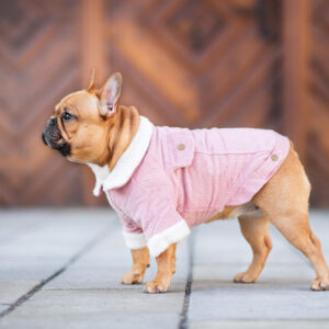 Vsepropejska Deril manšestrová bunda pro psa Barva: Růžová, Délka zad (cm): 39, Obvod hrudníku: 48 – 52 cm