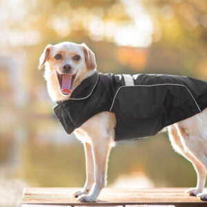 Vsepropejska Arif zimní bunda pro psa Barva: Černá, Délka zad (cm): 34, Obvod hrudníku: 44 – 48 cm