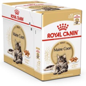 Royal Canin Maine Coon Adult kapsička 12x85g