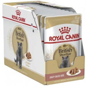 Royal Canin British Shorthair Adult 12 x 85 g