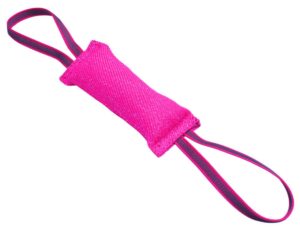 YORA Dog dentál.tyčinky z hmyzu jablko a máta S 56g