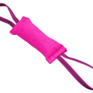 YORA Dog dentál.tyčinky z hmyzu jablko a máta S 56g