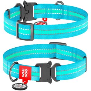 WAUDOG obojek nylonový Glow modrý Fastex QR (25-35cm/1,5cm)