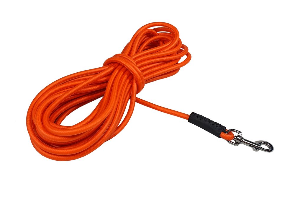 Postroj CHAMPION P L černá FP 1ks Postroj CHAMPION P L černá FP 1ks