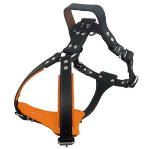 Obojek nylon 42-55/2,5cm oranžová Kiwi