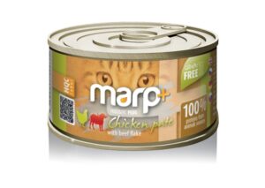 Akvarijní dekorace Koral fragment amfory L Zolux