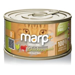 Akvarijní dekorace Koral fragment amfory L Zolux