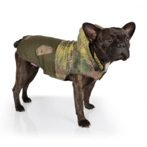 Eminent Cat Kitten Milk 250g