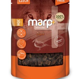 Bezpečnostní Pás pro psa do auta 52-85cm/25mm KAR