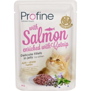 PROFINE cat kitten SALMON in jelly 85g