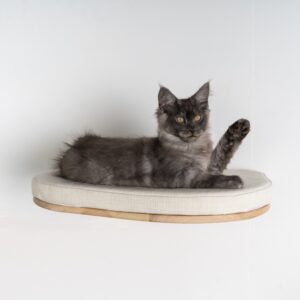 RhR XXL Luxury Cat Wall Bed béžový