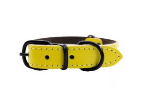 Světýlko blikací BIVOUAK oříšek USB modrá Zolux MEGASLEVA