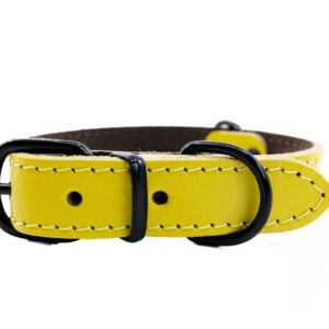 Světýlko blikací BIVOUAK oříšek USB modrá Zolux MEGASLEVA